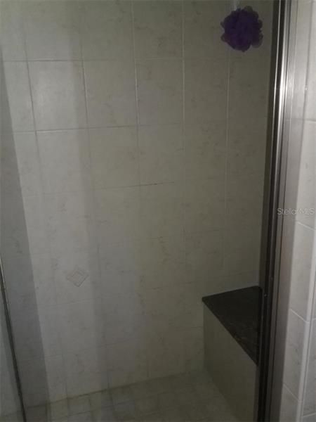 Tiled Shower in Master Bedroom