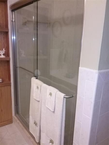 Tiled Shower in Guest Bath