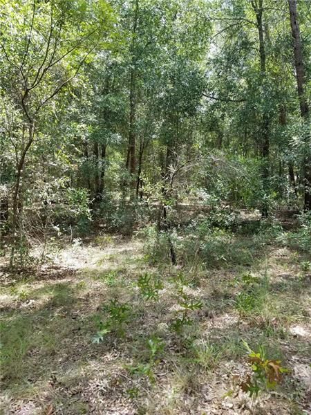 Recently Sold: $4,000 (0.26 acres)
