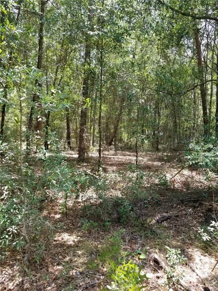 Recently Sold: $4,000 (0.26 acres)