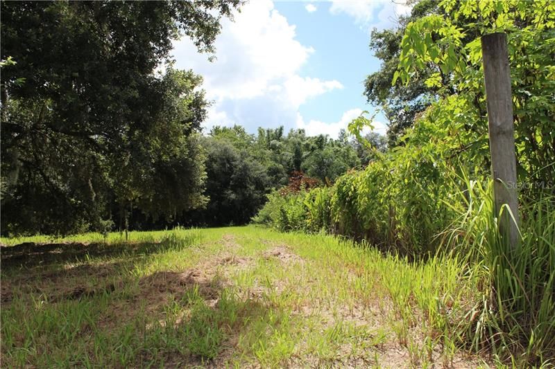 Recently Sold: $35,000 (1.26 acres)