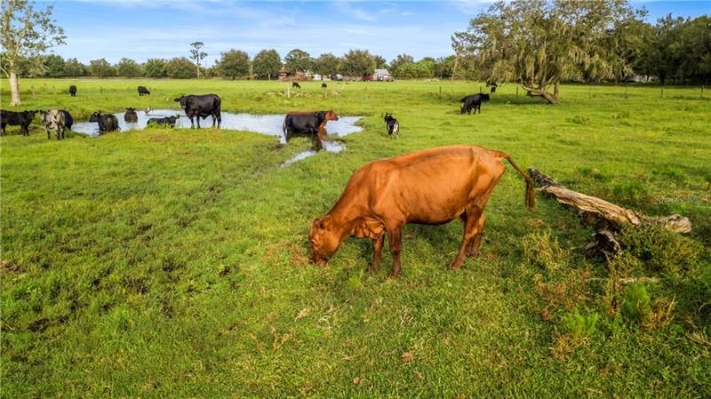 Недавно продано: $246,000 (8.21 acres)