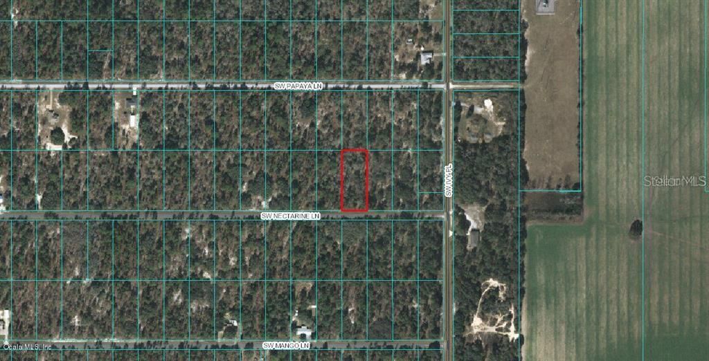 Recently Sold: $6,000 (0.99 acres)