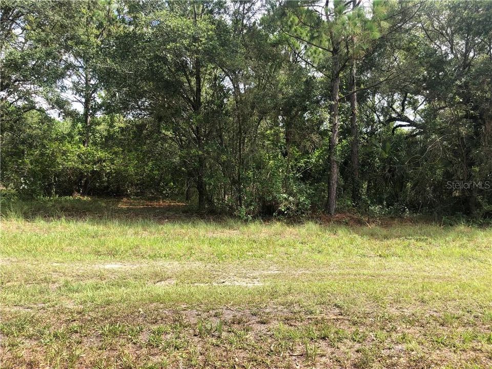 Recently Sold: $3,000 (0.17 acres)