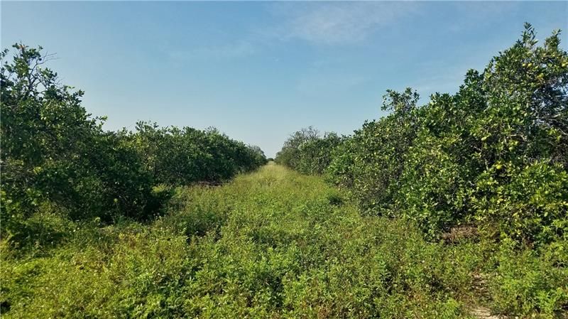 Recently Sold: $980,000 (140.00 acres)