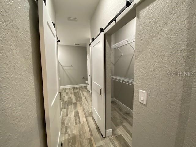 Master Hallway/Closet to bathroom