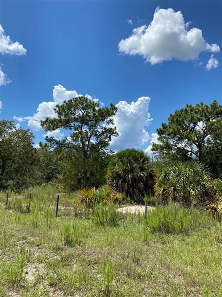 Recently Sold: $35,000 (1.00 acres)