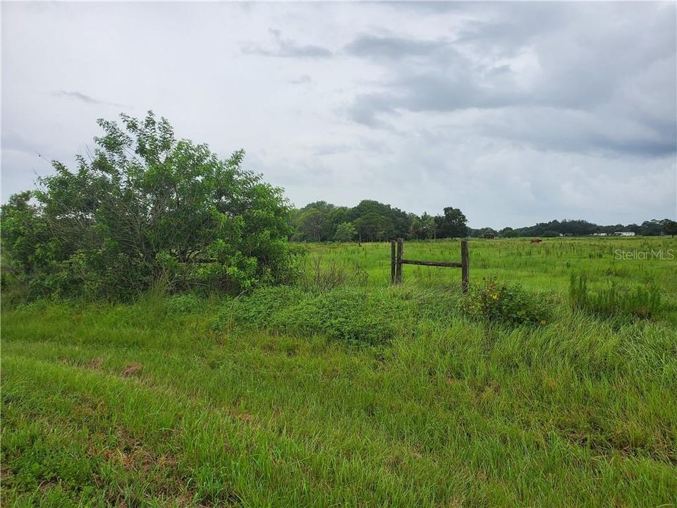 Vendido Recientemente: $79,900 (5.23 acres)