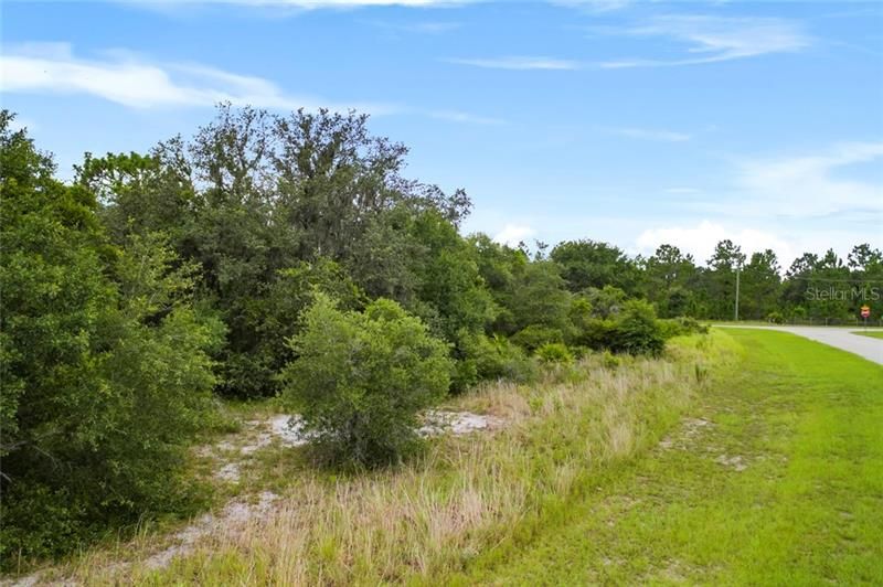 Recently Sold: $80,000 (5.22 acres)