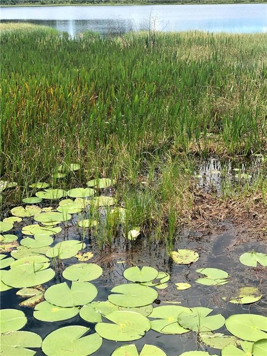 待售: $1,950,000 (11.50 acres)