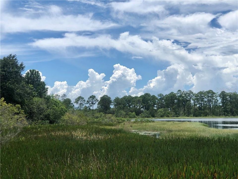 待售: $1,950,000 (11.50 acres)