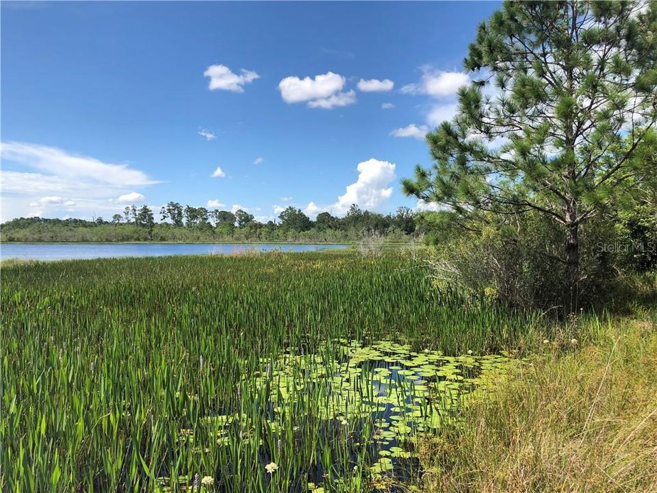 待售: $1,950,000 (11.50 acres)