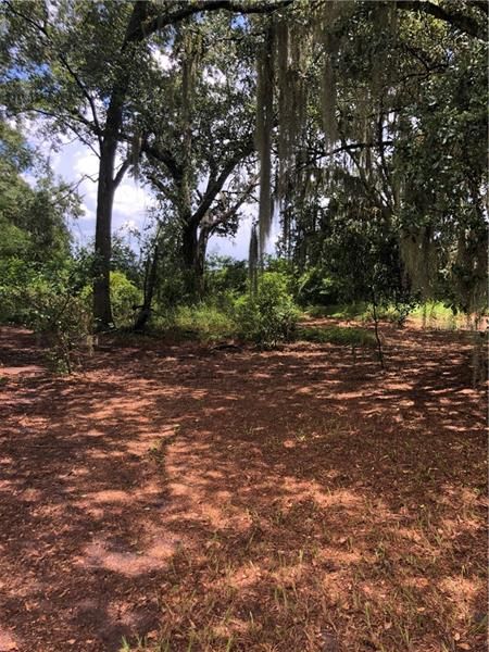 Recently Sold: $99,000 (2.53 acres)