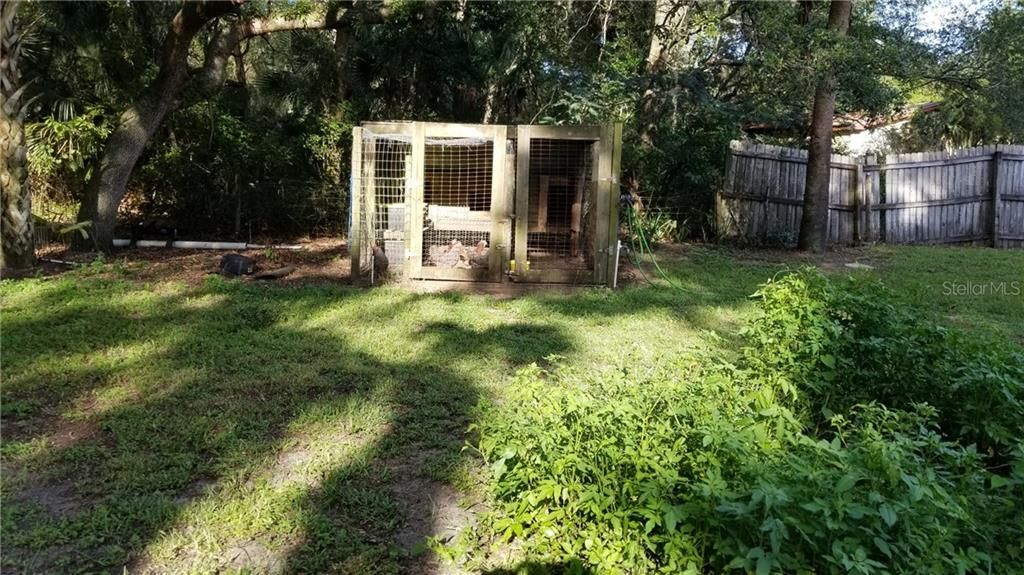 Chicken Coop, chickens not included