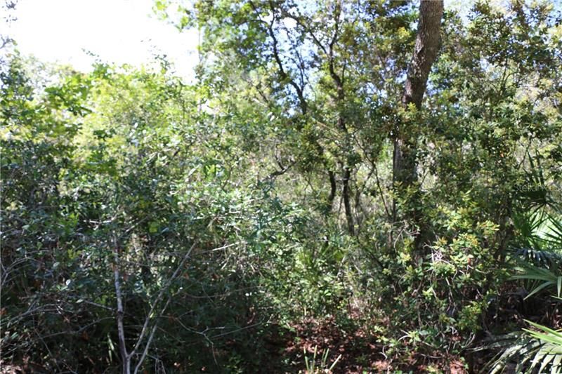 Recently Sold: $36,900 (5.00 acres)