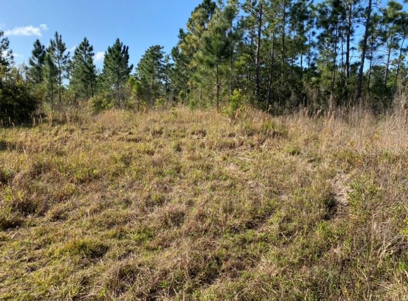 Recently Sold: $39,500 (1.03 acres)