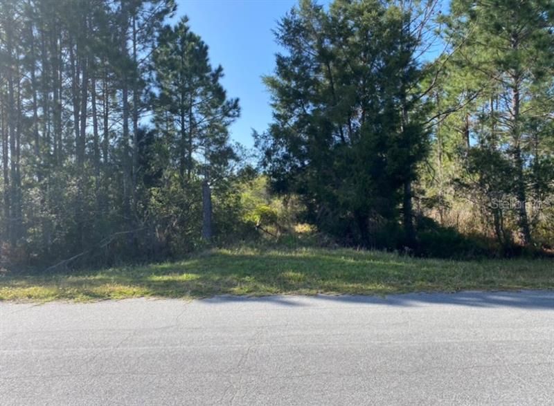 Recently Sold: $39,500 (1.03 acres)