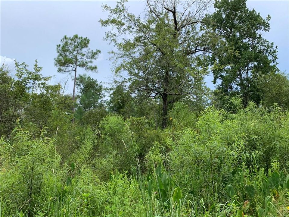 Recently Sold: $16,995 (3.13 acres)