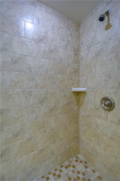 Master Bathroom Shower