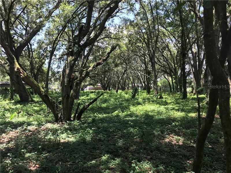 Recently Sold: $70,000 (1.02 acres)