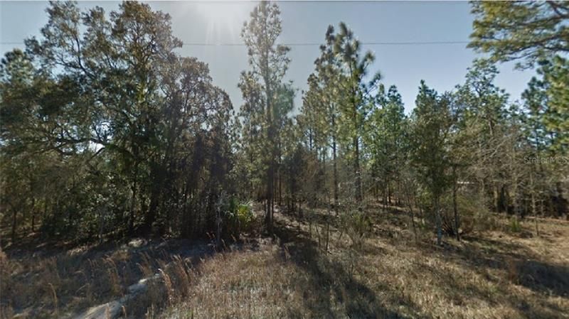 Recently Sold: $7,900 (1.00 acres)