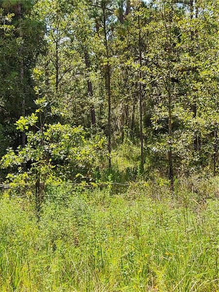 Recently Sold: $48,900 (5.24 acres)