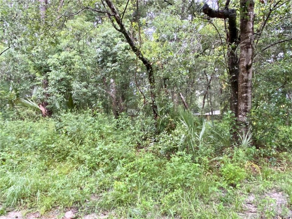 Recently Sold: $43,900 (0.46 acres)