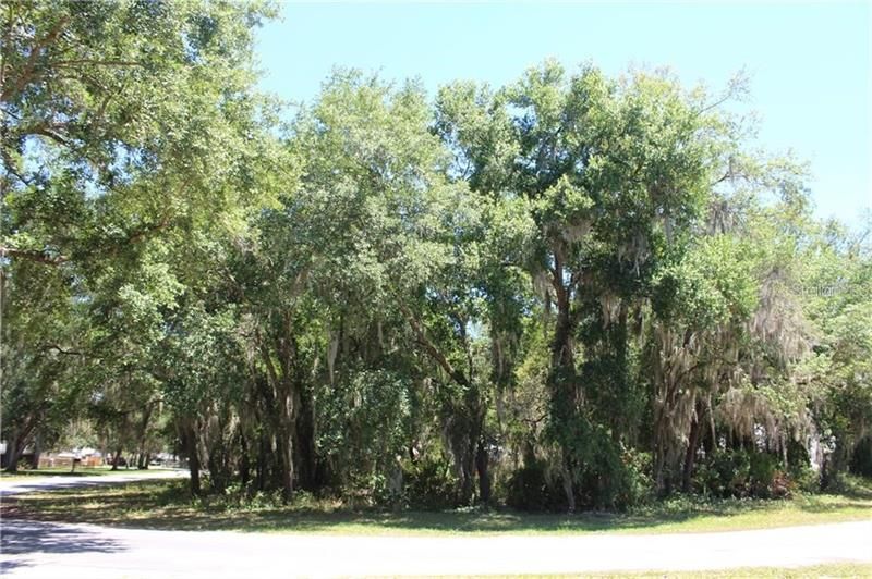 Recently Sold: $47,500 (0.42 acres)