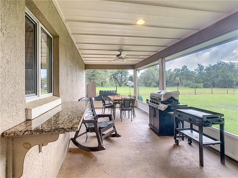 Plenty of room to spread out on the porch with a pass-thru window from the kitchen.  Invite the family for a cook-out - there's plenty of room to social distance.
