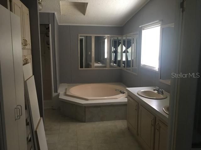 Master bathroom