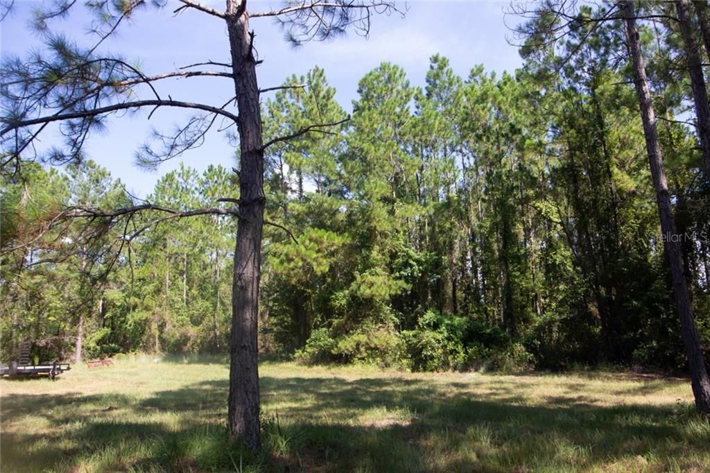 Recently Sold: $399,000 (89.57 acres)