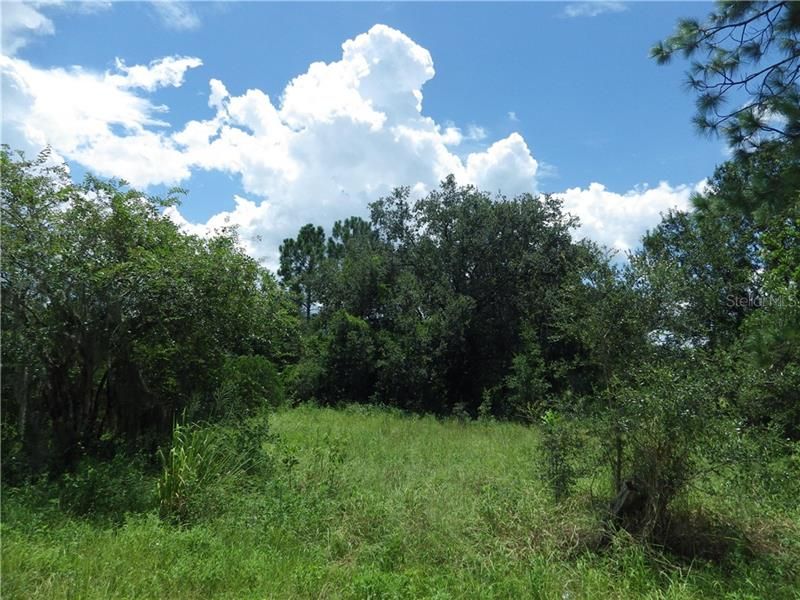 Recently Sold: $50,000 (0.48 acres)
