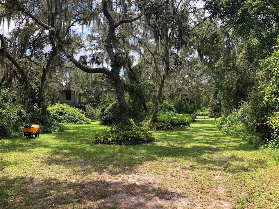 View to Gate towards the 2story building and tree house