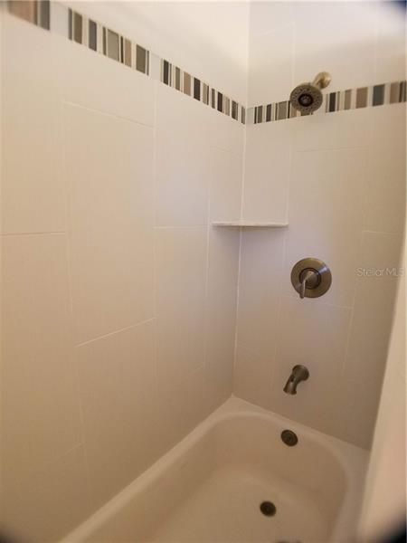 Hall Bathroom Shower/Tub Combo
