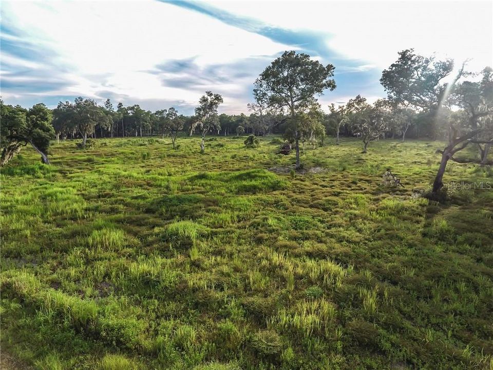 Entire 10-acre parcel recently cleared, leaving just plenty of options for your dreams!