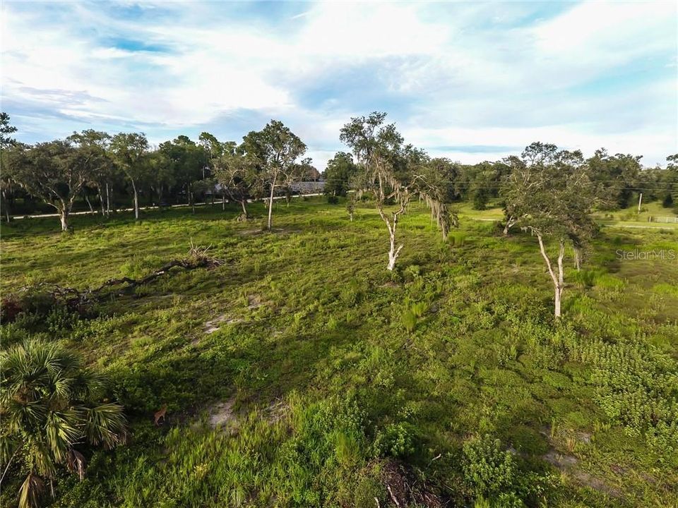 10 acres mostly cleared high and dry land in the country.