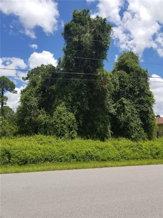 Недавно продано: $10,000 (0.23 acres)