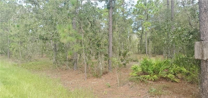 Recently Sold: $9,900 (1.16 acres)