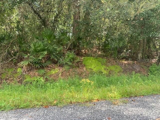 Recently Sold: $47,000 (0.15 acres)