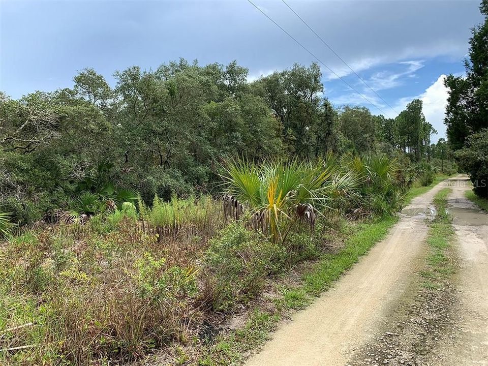 最近售出: $25,000 (2.62 acres)