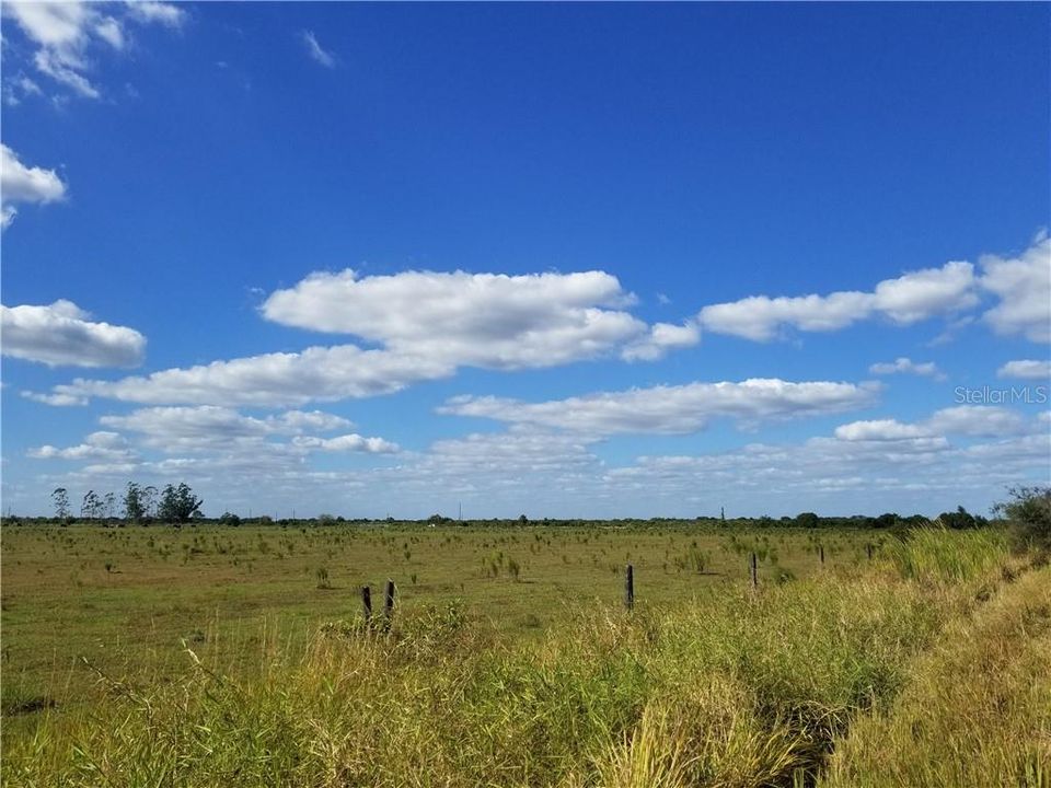 Recently Sold: $65,900 (5.00 acres)