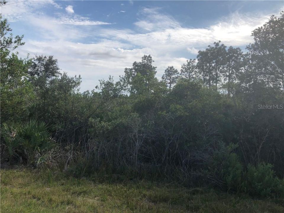 Recently Sold: $34,900 (5.00 acres)