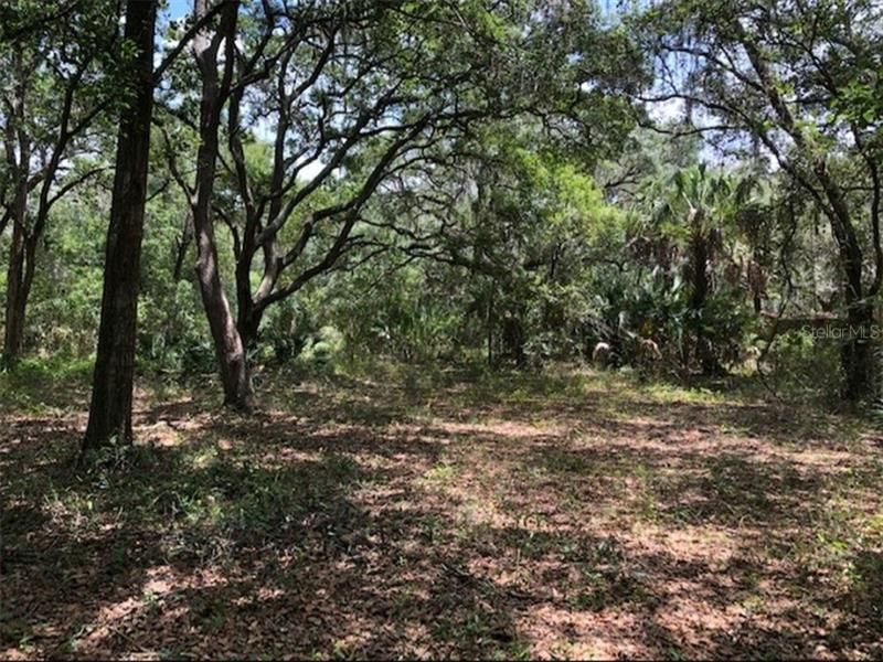 Recently Sold: $105,000 (1.26 acres)
