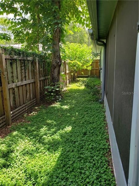 Side Yard - Back to Front (north)