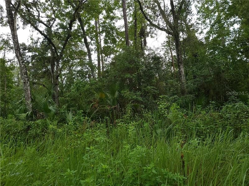 Vendido Recientemente: $73,900 (5.00 acres)