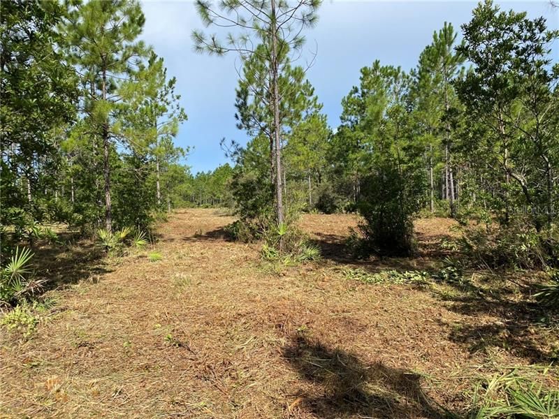 Recently Sold: $135,000 (25.40 acres)