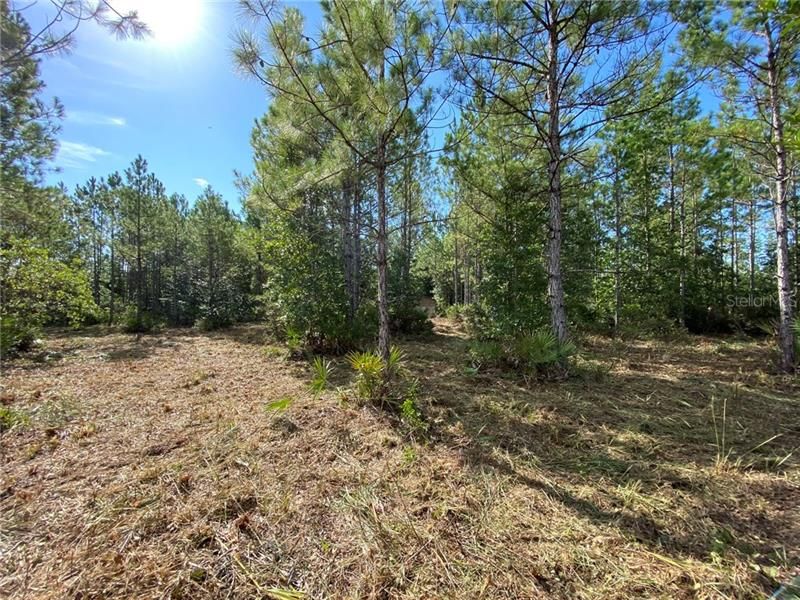 Recently Sold: $135,000 (25.40 acres)