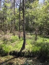 Recently Sold: $24,900 (0.23 acres)