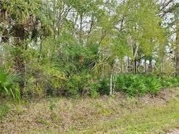 Recently Sold: $29,900 (0.57 acres)