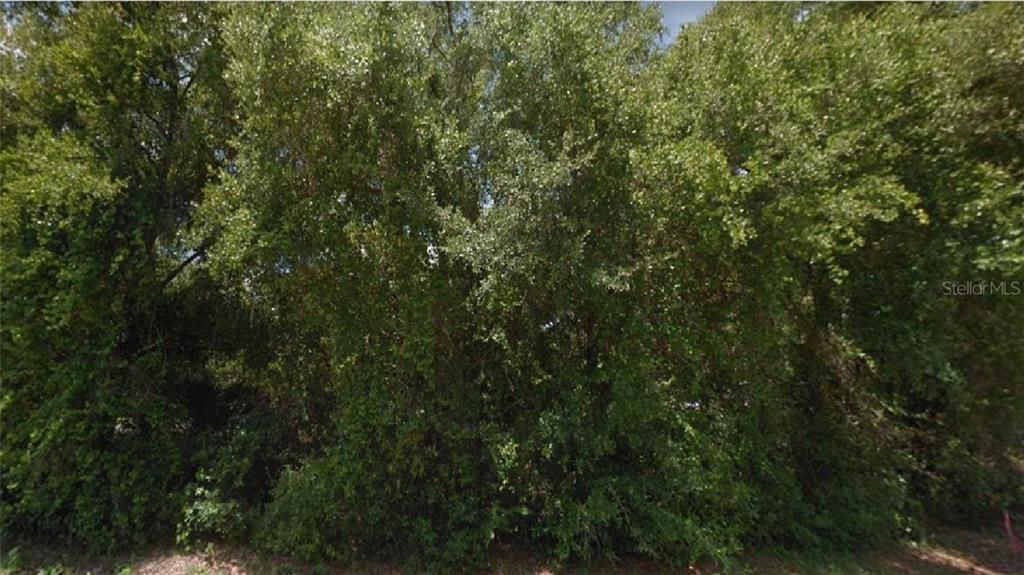 Recently Sold: $20,000 (0.25 acres)